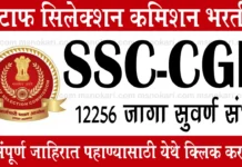 SSC CGL Bharti 2026 स्टाफ सिलेक्शन कमिशन मध्ये विविध पदांच्या 12,256 जागांसाठी भारती